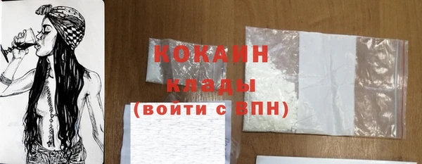 дживик Майский
