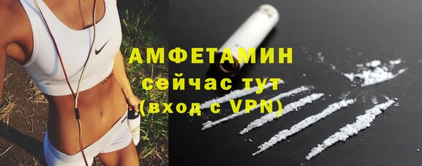 дживик Майский