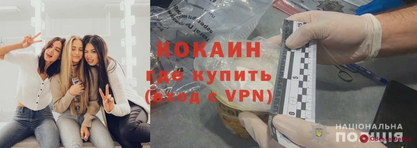 a pvp Магас