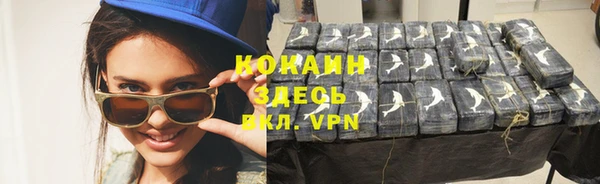 дживик Майский