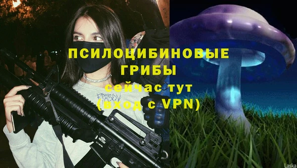 a pvp Магас
