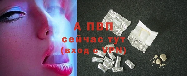 a pvp Магас