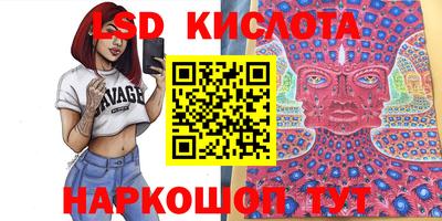 прущие грибы Абакан