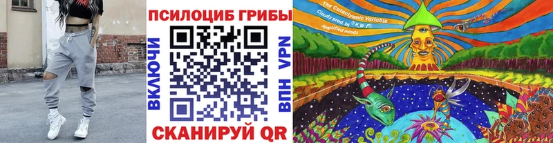 Псилоцибиновые грибы прущие грибы  Протвино 