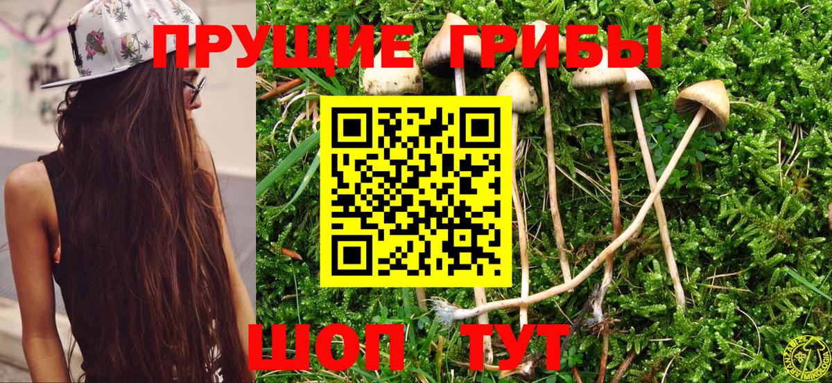 Псилоцибиновые грибы Magic Shrooms Протвино