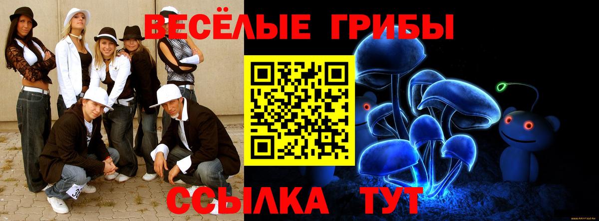 Галлюциногенные грибы MAGIC MUSHROOMS Протвино