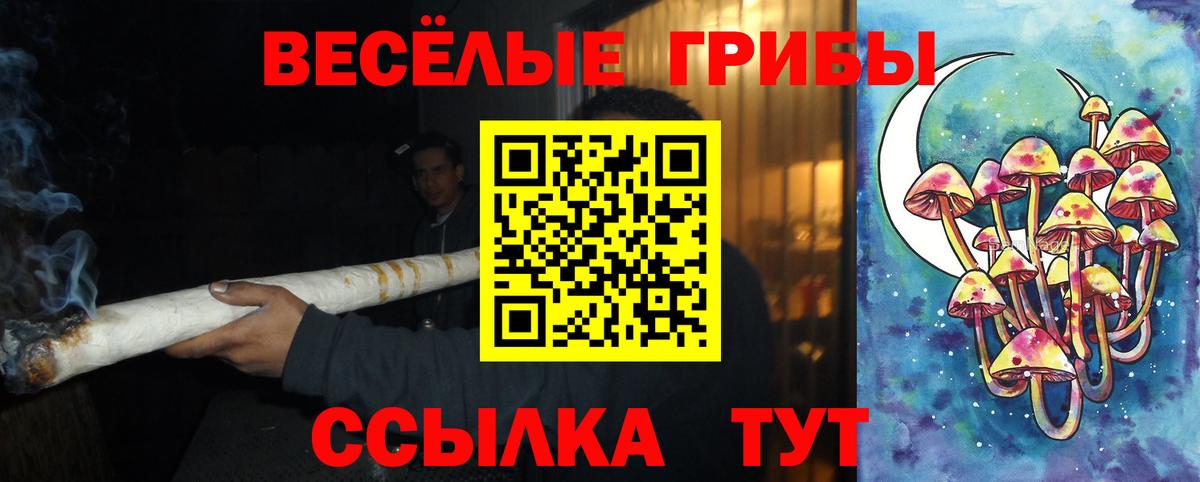 Протвино  Галлюциногенные грибы Psilocybe  Псилоцибиновые грибы ЛСД  Вход с VPN 