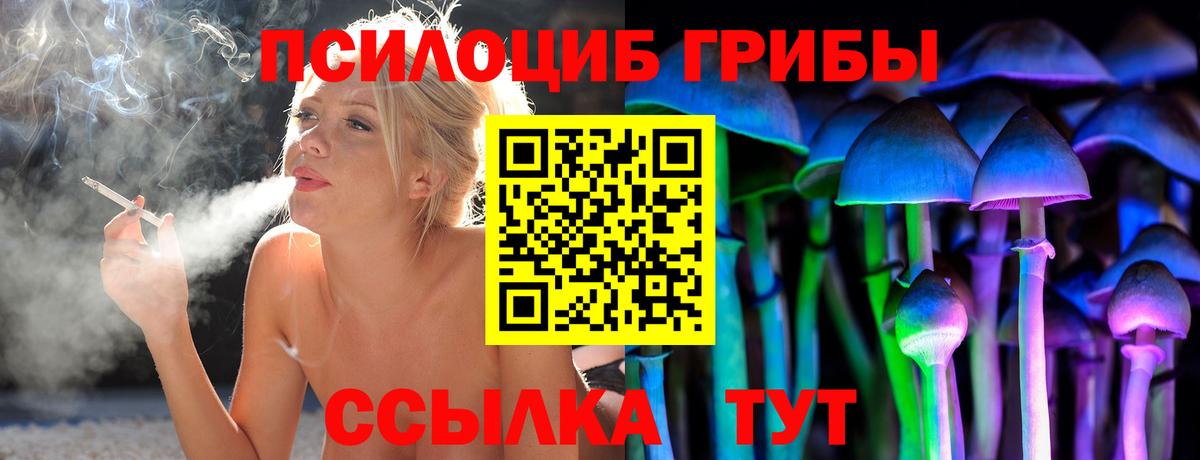 Протвино  где купить наркоту  Вход с VPN  Псилоцибиновые грибы GOLDEN TEACHER 